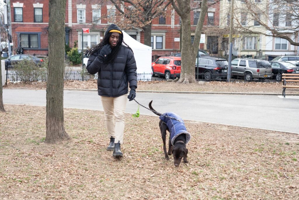 Person walking a dog past brownstones in a New York City park on a winter morning